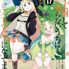 スライム倒して300年、知らないうちにレベルMAXになってました (17)【漫画版】