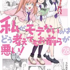 私がモテないのはどう考えてもお前らが悪い！(28)