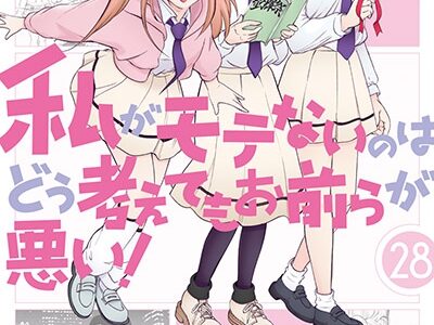 私がモテないのはどう考えてもお前らが悪い！(28)