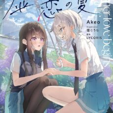 嘘から始まる恋の夏【小説版】