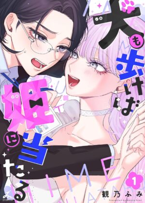 犬も歩けば姫に当たる (1)
