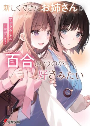 新しくできたお姉さんは、百合というのが好きみたい【小説】