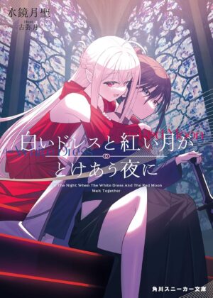 白いドレスと紅い月がとけあう夜に【小説】