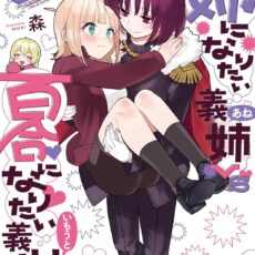 姉になりたい義姉VS百合になりたい義妹 (3)