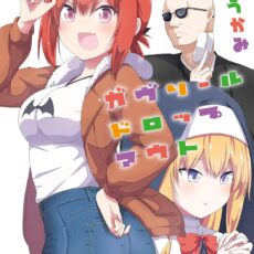 ガヴリールドロップアウト (16)